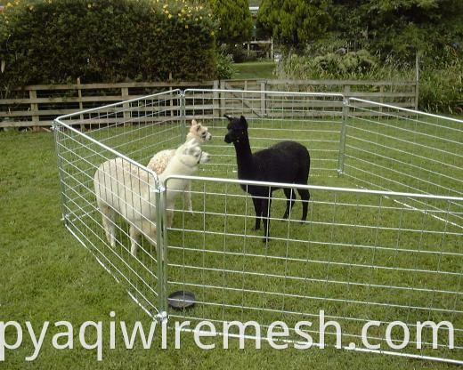 Przenośny panel ogrodzenia/panel Corral/panelu alpaca (Fabryka) gorąca sprzedaż przenośny panel ogrodzenia/alpaki)